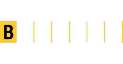 partners who work with Tiger365